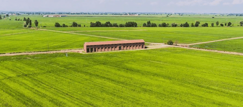 Reis & Risotto - italienische Feinkost Scarati